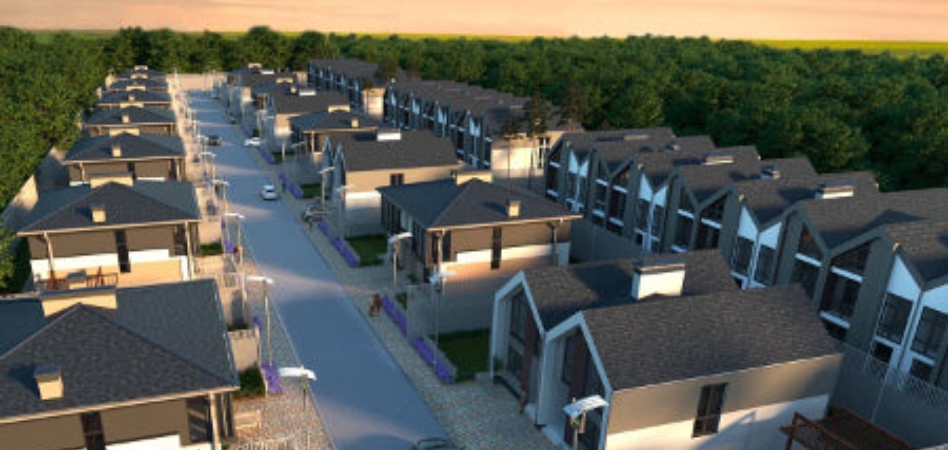 Проєкт котеджного містечка